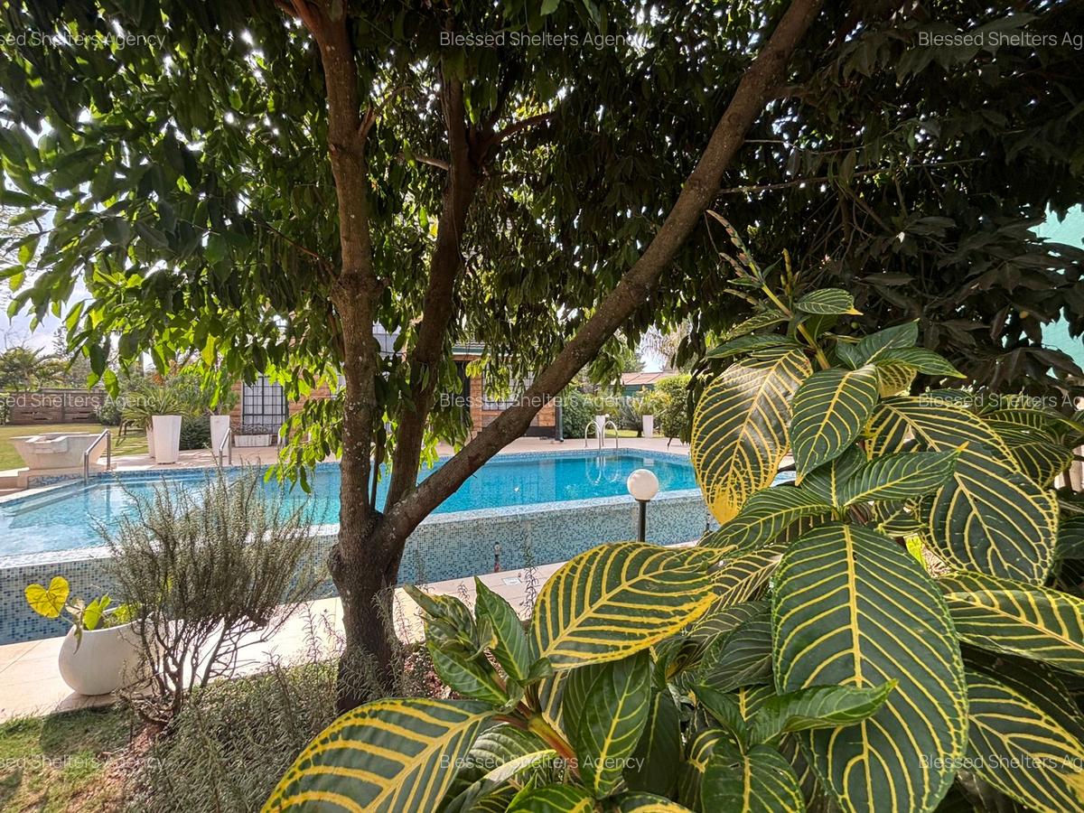 4 Bed Villa with En Suite in Kiambu Road - 6