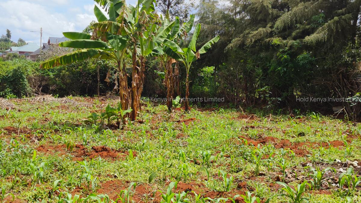 0.25 ac Residential Land at River Side Drive - 9