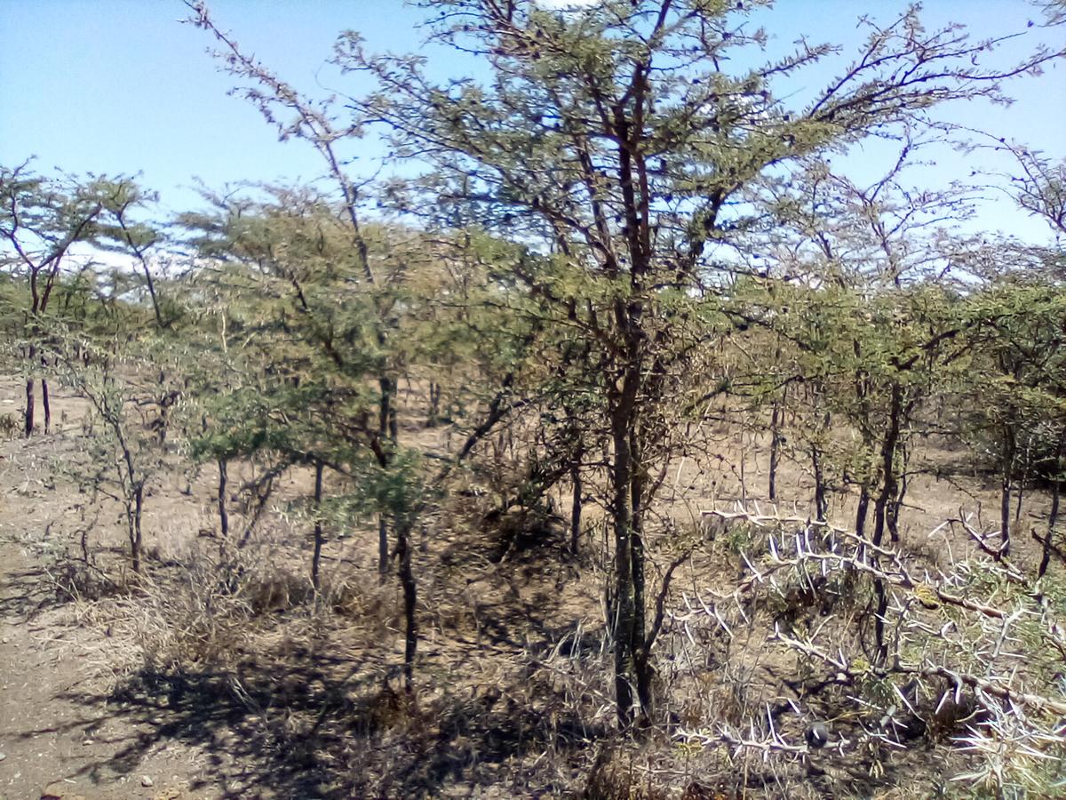 Land at Nanyuki-Rumuruti Rd - 4