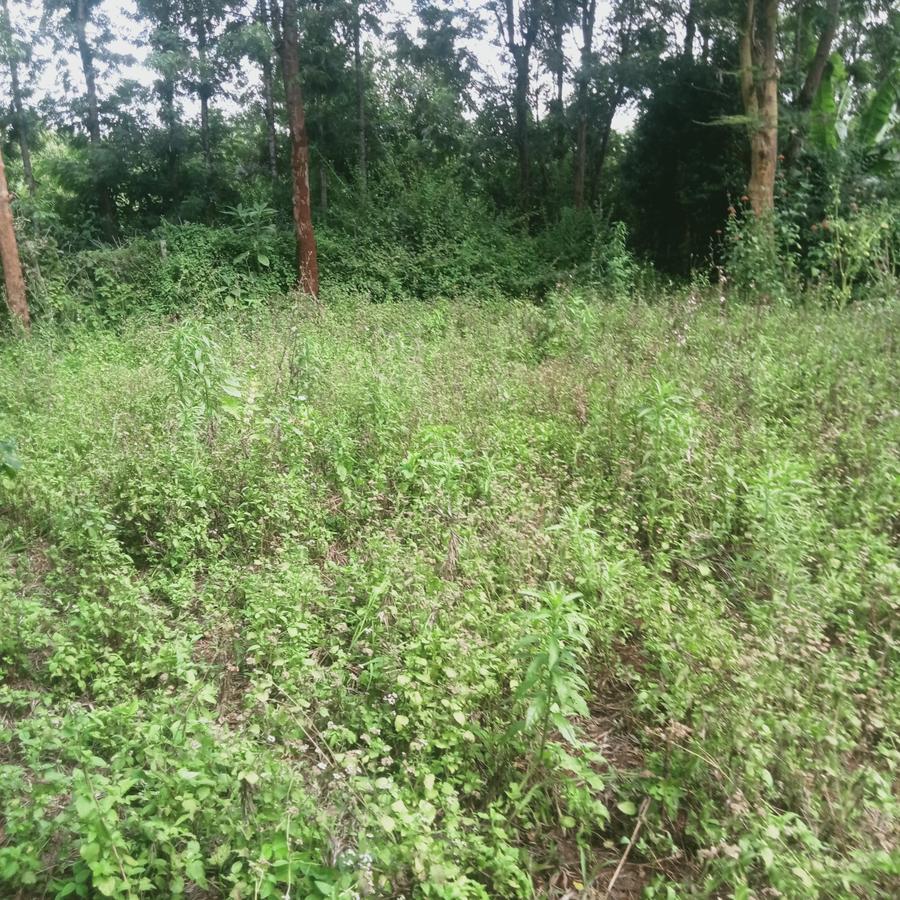 0.25 ac Land at Ngong - 6