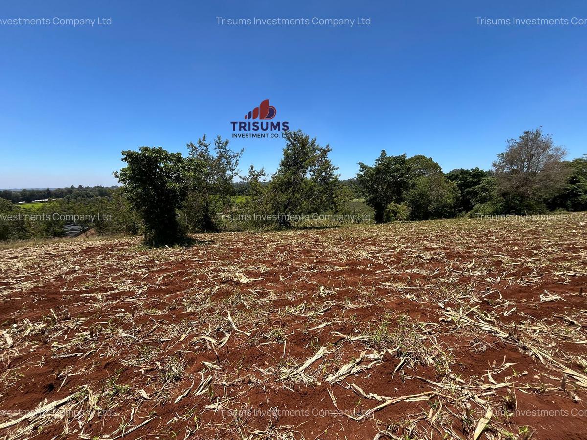 1.5 ac Land in Tigoni - 7