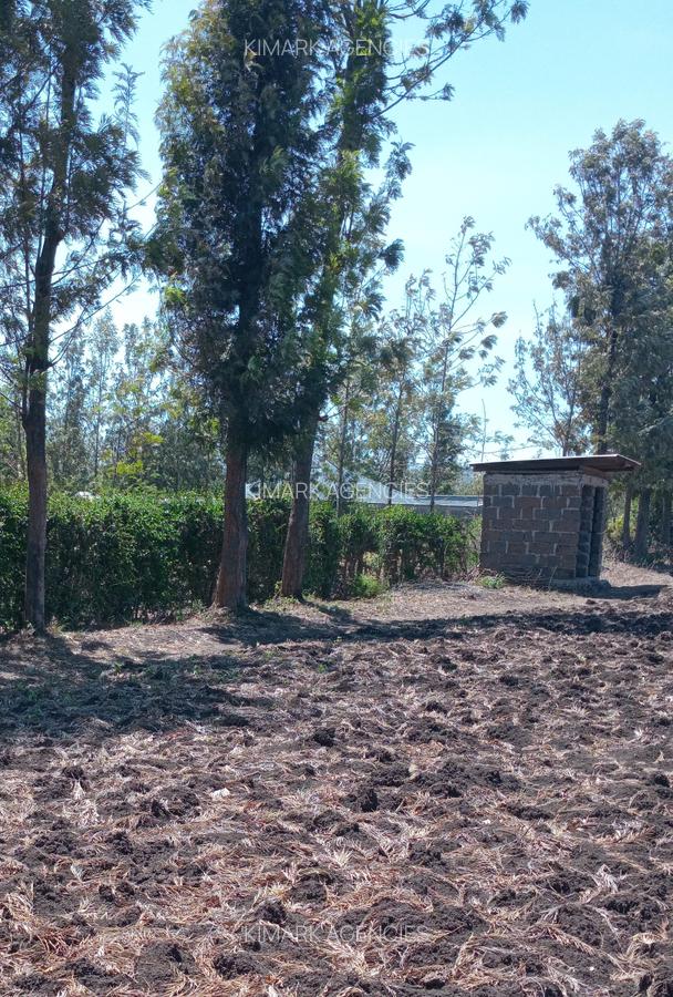 1 ac Land at Kunde Road - 2