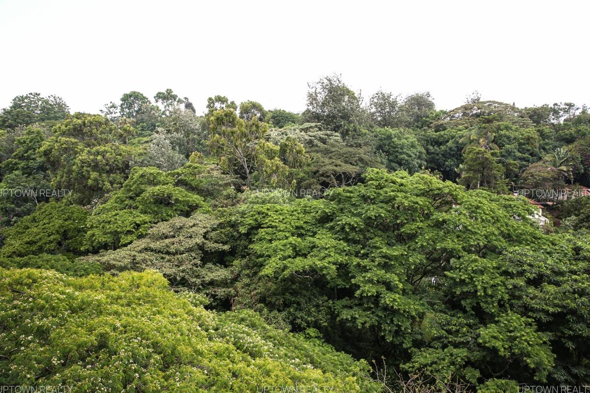 Serviced 3 Bed Apartment with En Suite at Parklands - 7