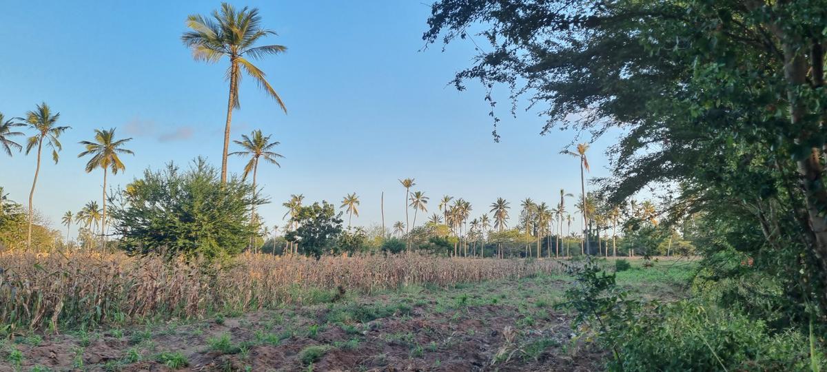 3 ac Land at Mtwapa - 6