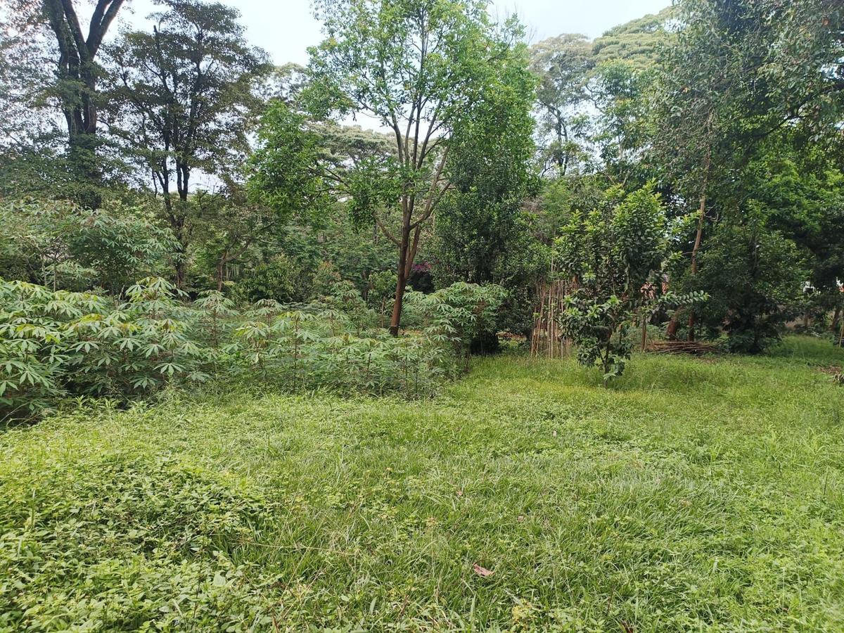 1 ac Land at Old Muthaiga Estate - 2