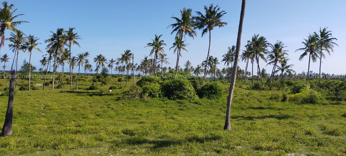 Land in Kilifi - 11