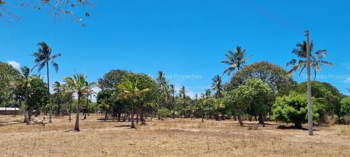 1 ac Land at Creek Beach Side - 1