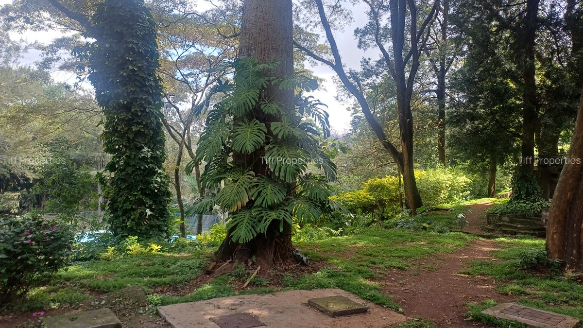 8 Bed House in Muthaiga - 6