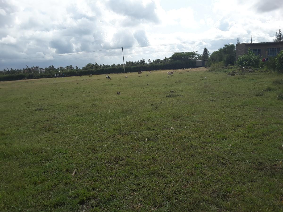 1 ac Residential Land in Ongata Rongai - 2