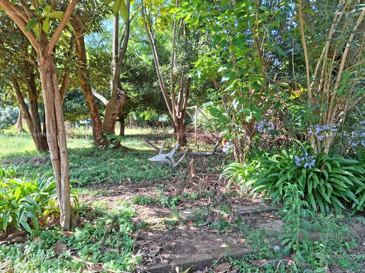 Residential Land at Runda - 3
