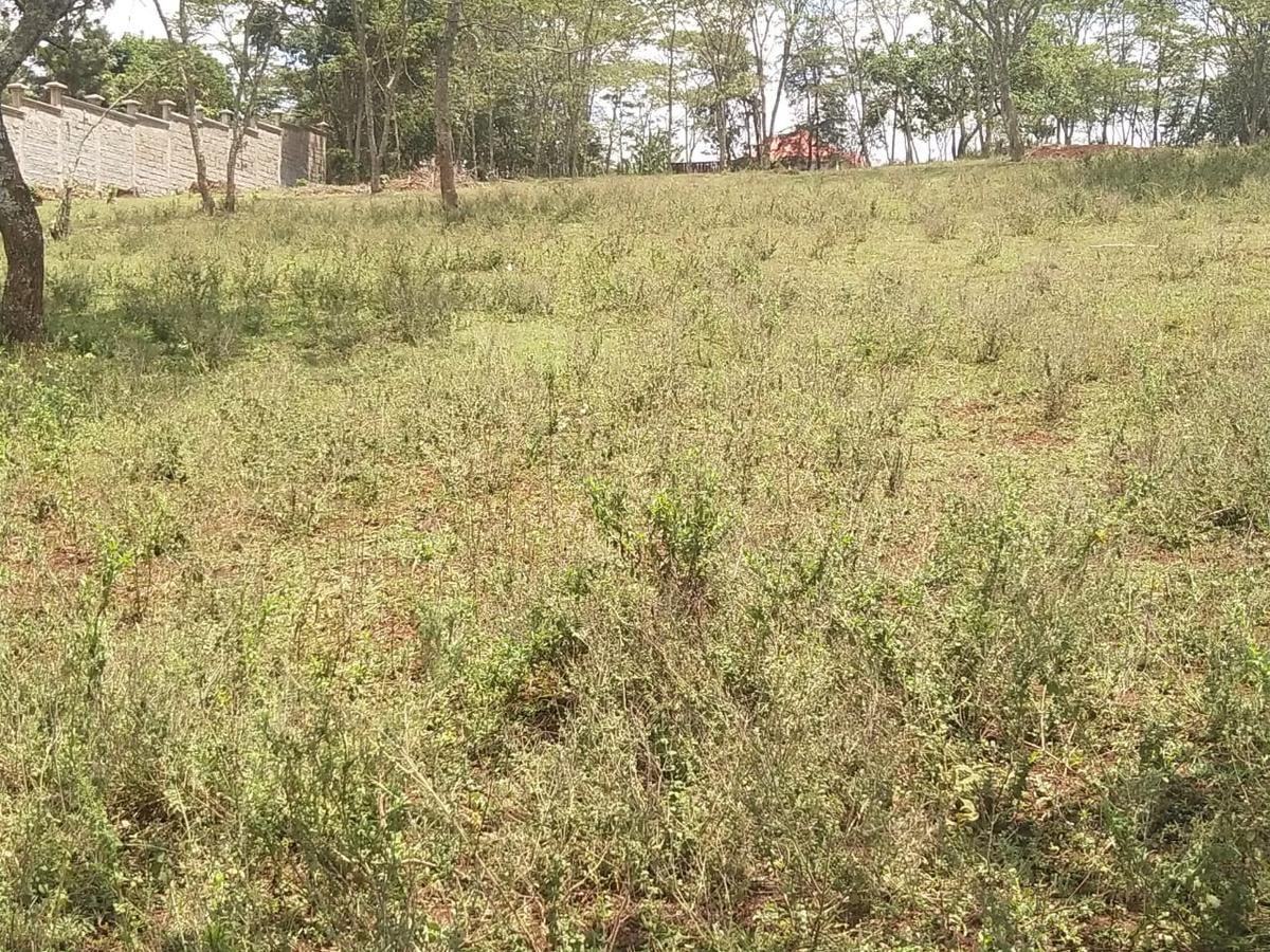 0.25 ac Land in Ngong - 1