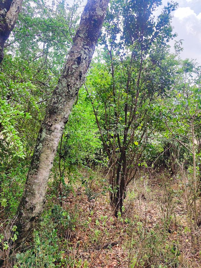 Residential Land at Hardy - 13