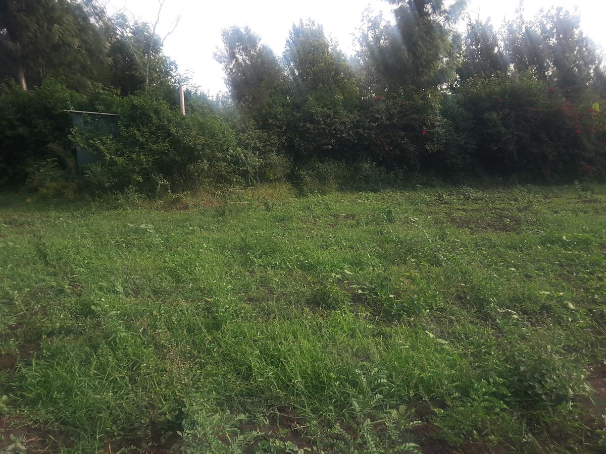 0.25 ac Land in Ngong - 5