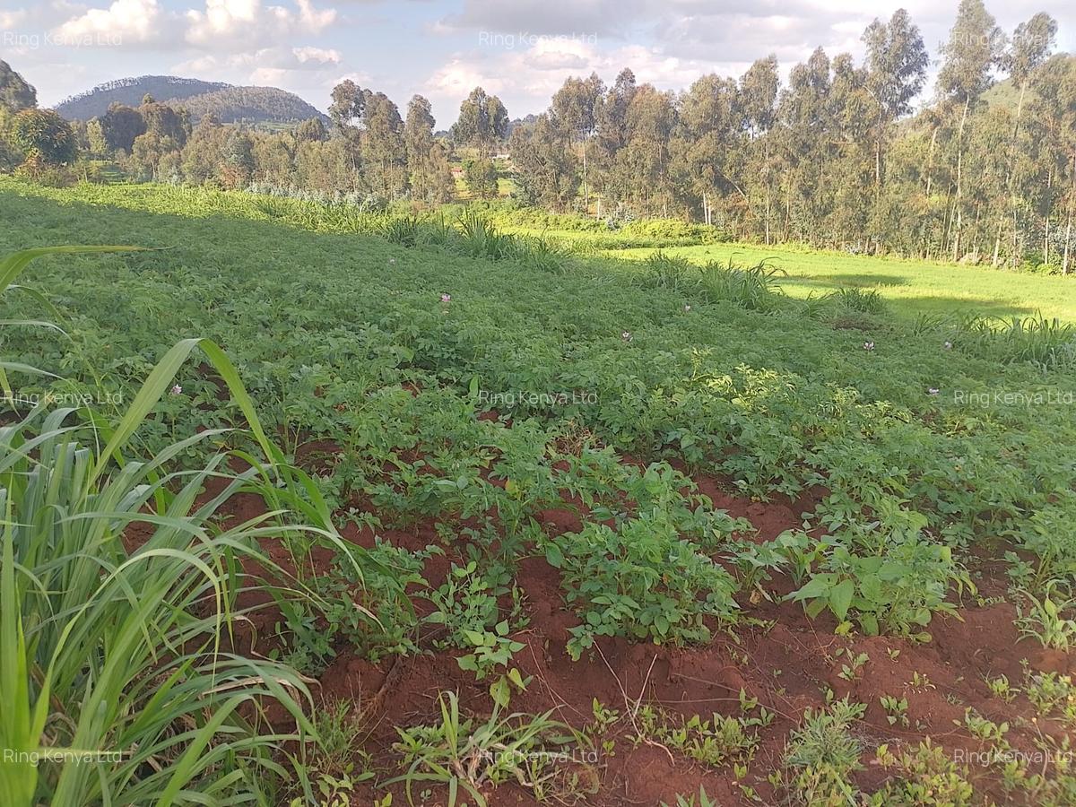 Land at Kibirichia - 19