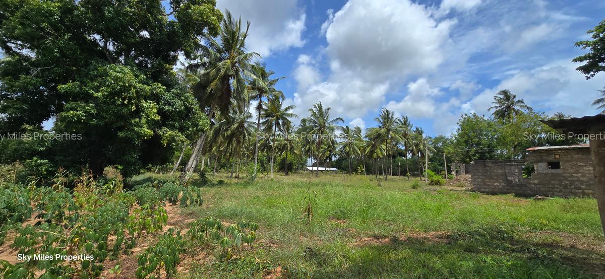 6 ac Land at Bomani - 15