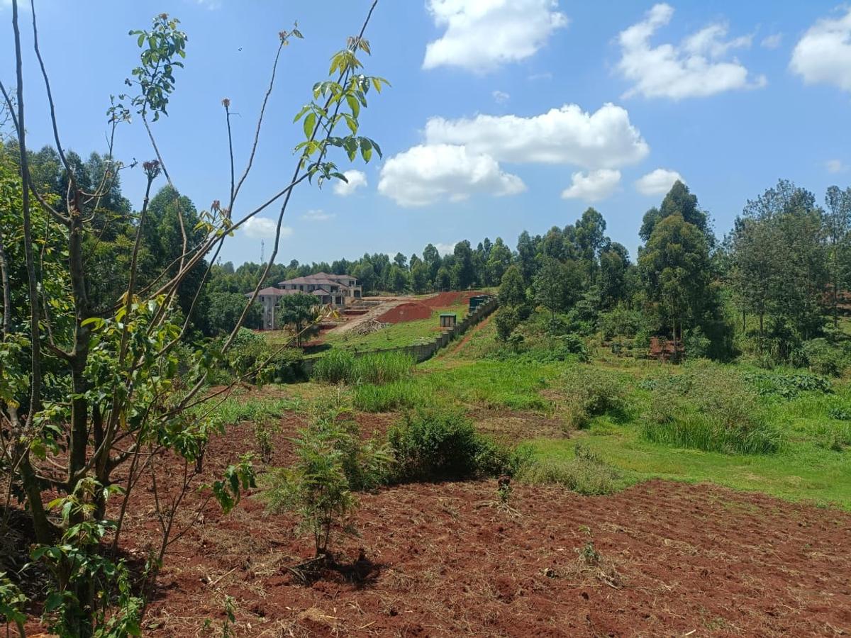 0.05 ha Land at Kiambu Ndumberi Ngemwa - 3