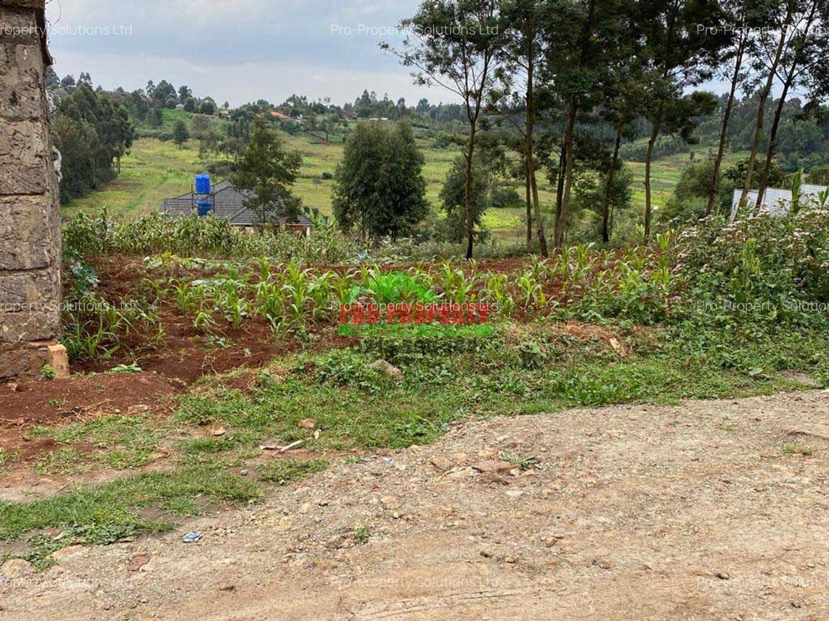 0.05 ha Residential Land in Kikuyu Town - 10