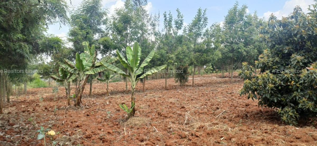 0.25 ac Land at Ndeiya Kiroe Limuru - 4