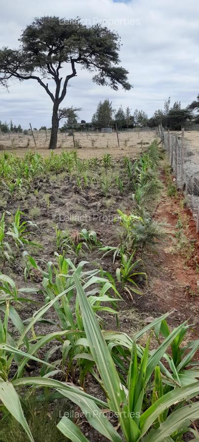 0.113 ac Residential Land in Ongata Rongai - 7
