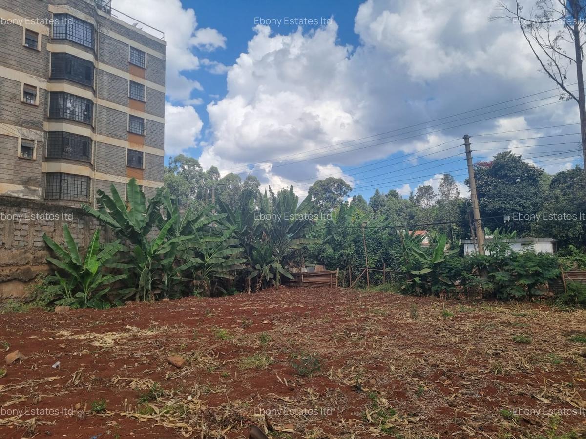 Residential Land at Ruaka Hill Road - 4