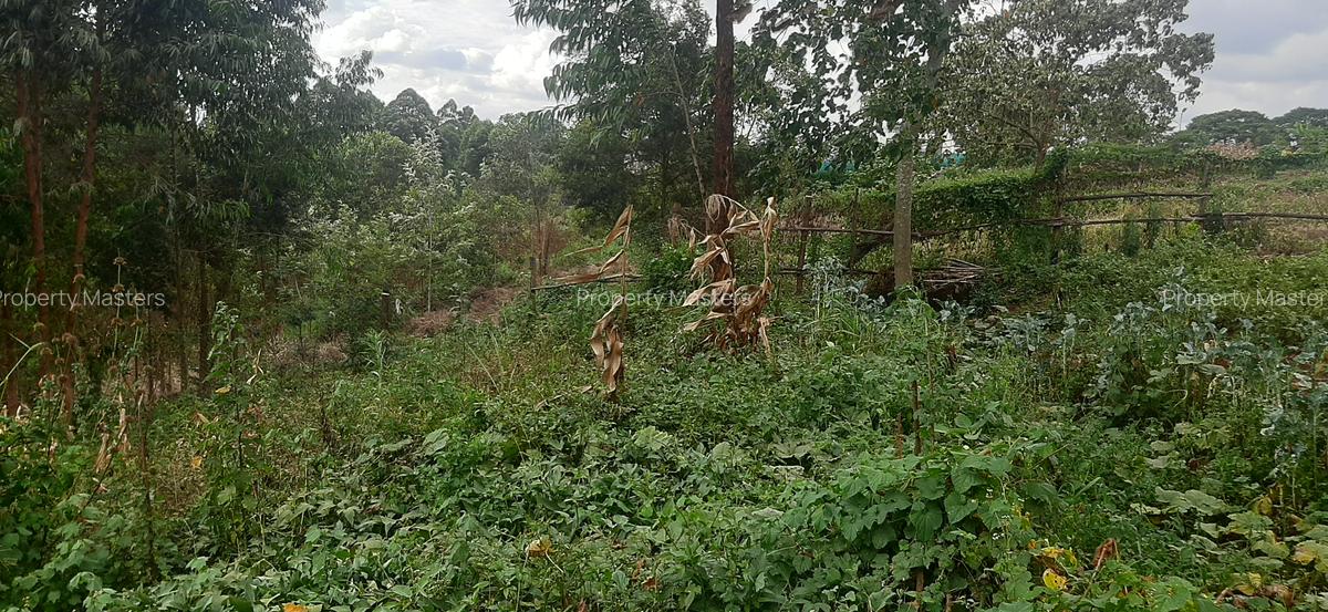 Residential Land at Driving Range - 9