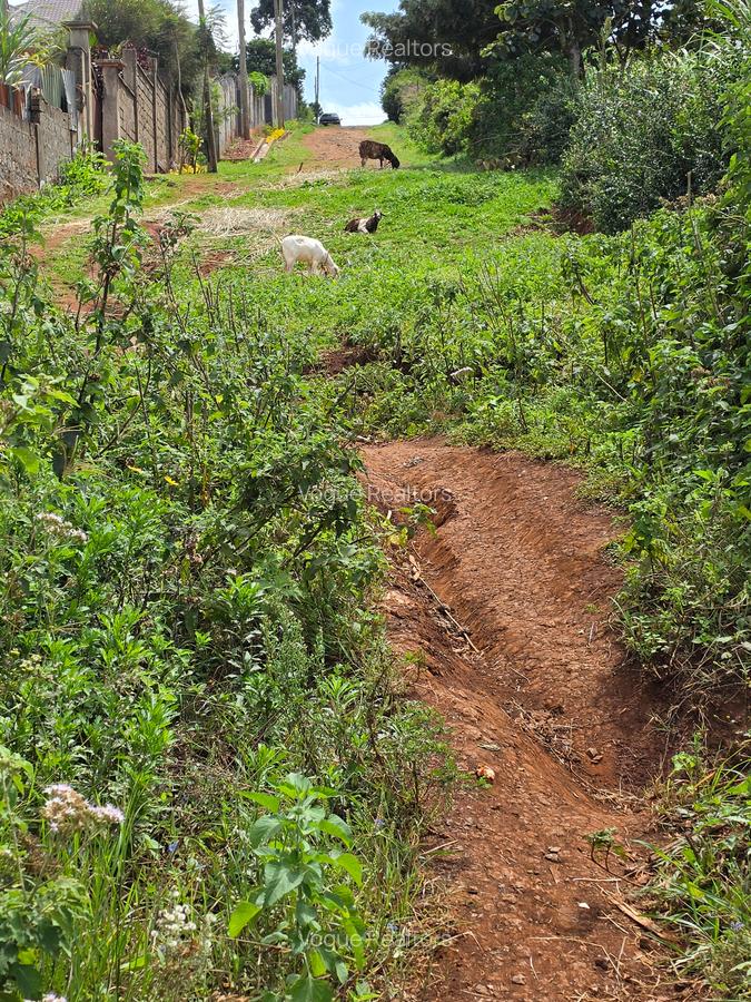 Land at Kibiko - 6