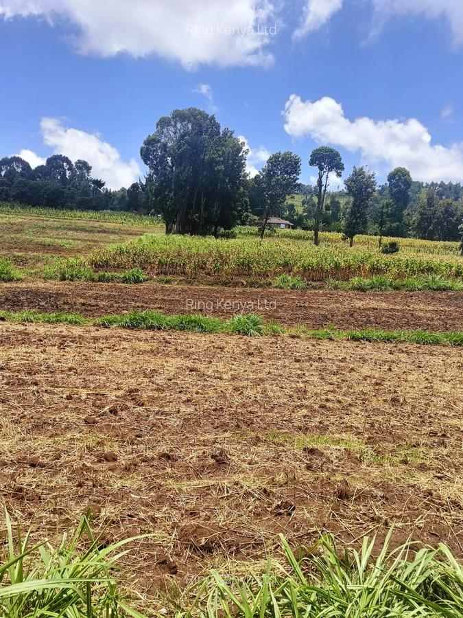 Land at Kibirichia - 16