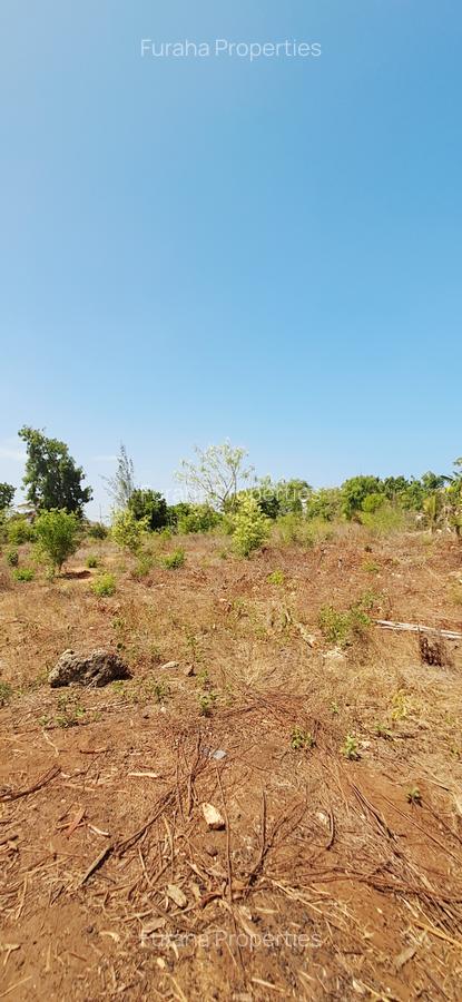 Land at Vipingo - 15