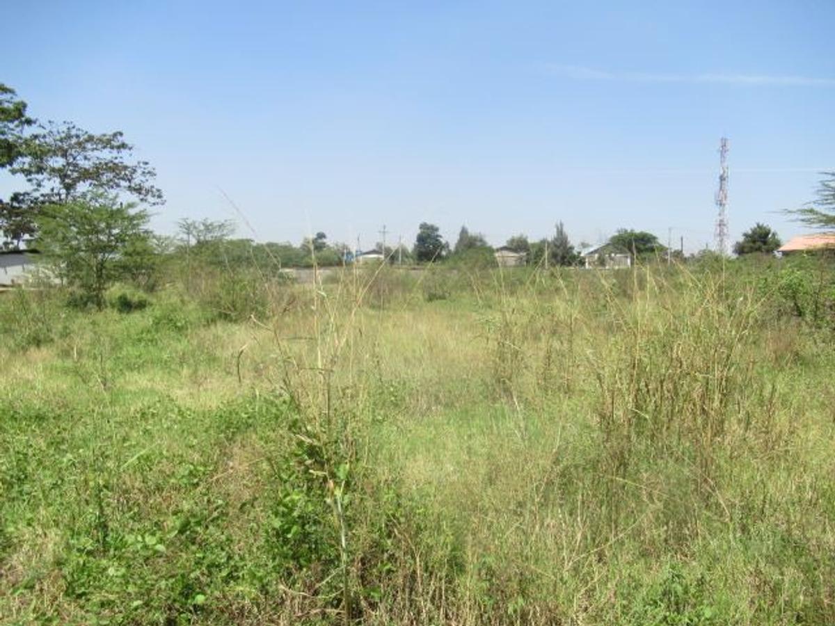 23,796 m² Commercial Land at Nyasa Road - 13