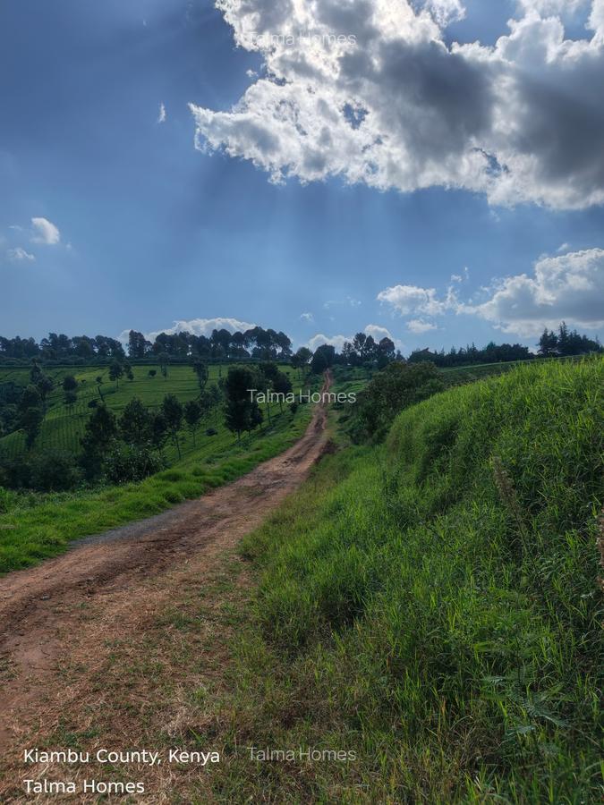 Land at Tigoni - 8