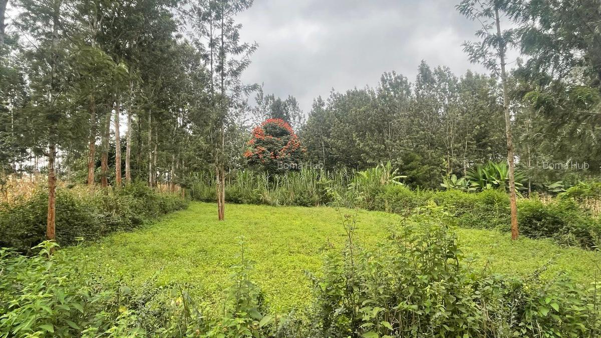 0.22 ac Land at Kiganjo Junction - 1