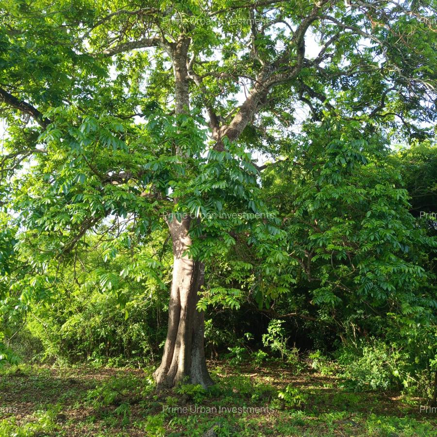 90 ac Residential Land at Kuruwitu-Vipingo - 13