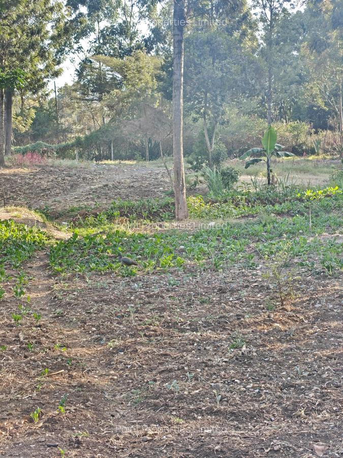 0.3 ac Land at Kabiria - 6