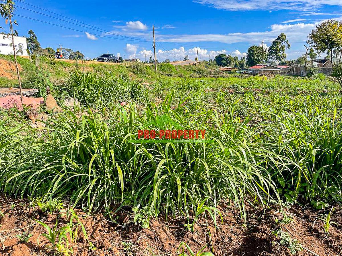 0.1 ha Commercial Land at Muguga - 5