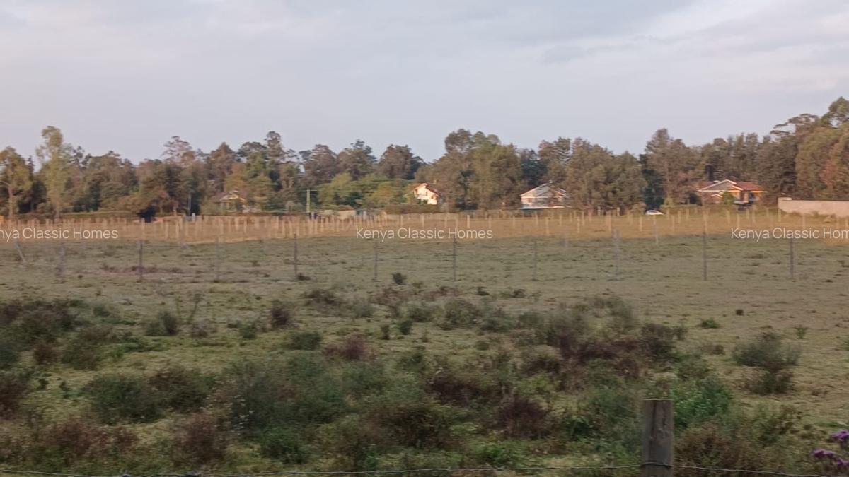 0.5 ac Land at Karen - 3