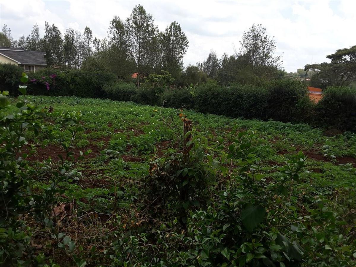 0.25 ac Residential Land in Ngong - 3