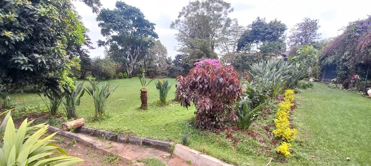 1.5 ac Land in Lavington - 4