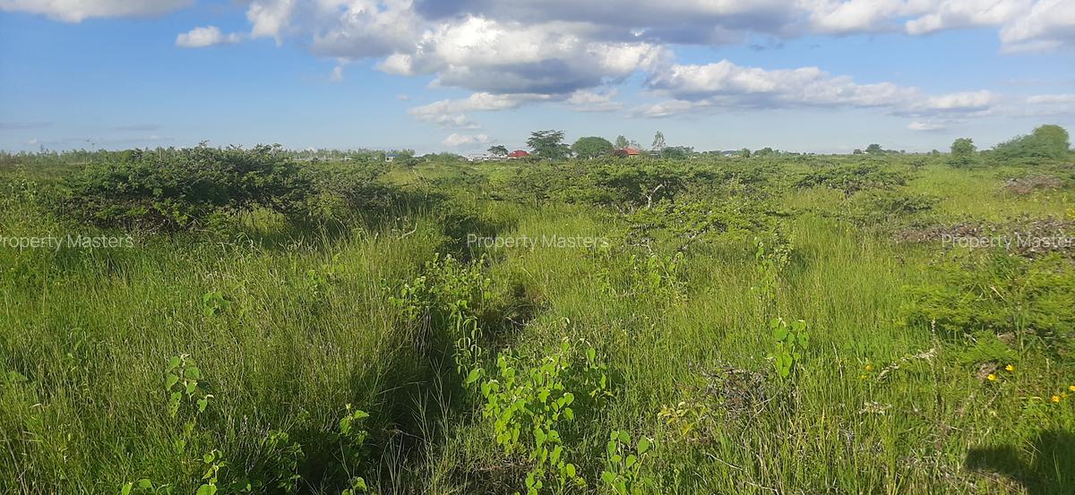 Residential Land at Leshaoo - 8