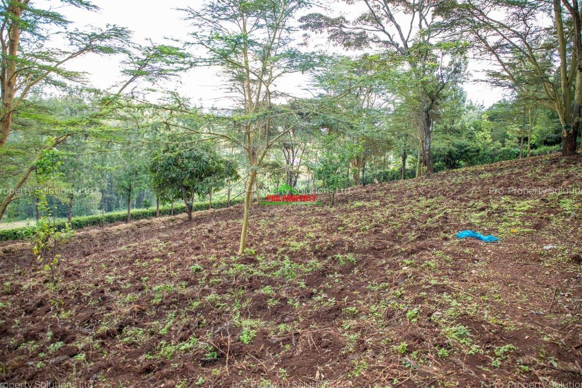 0.809371 ha Residential Land at Matasia - 9