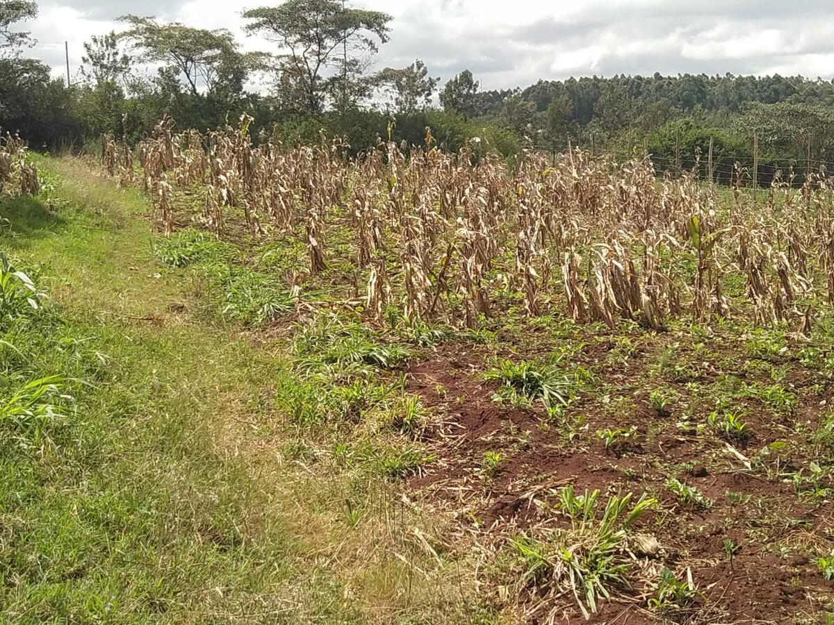 0.2 ha Residential Land in Ngong - 6