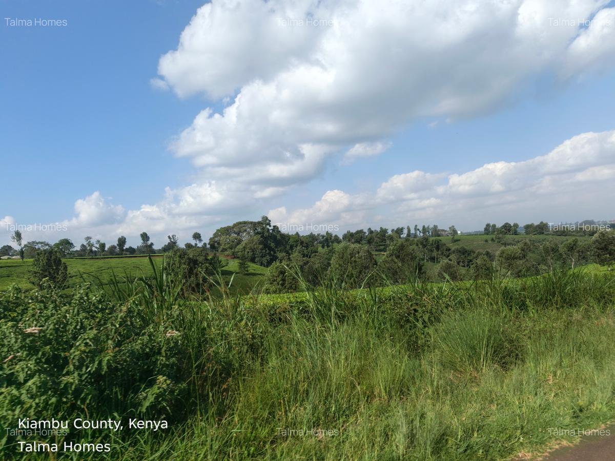 Land at Tigoni - 16