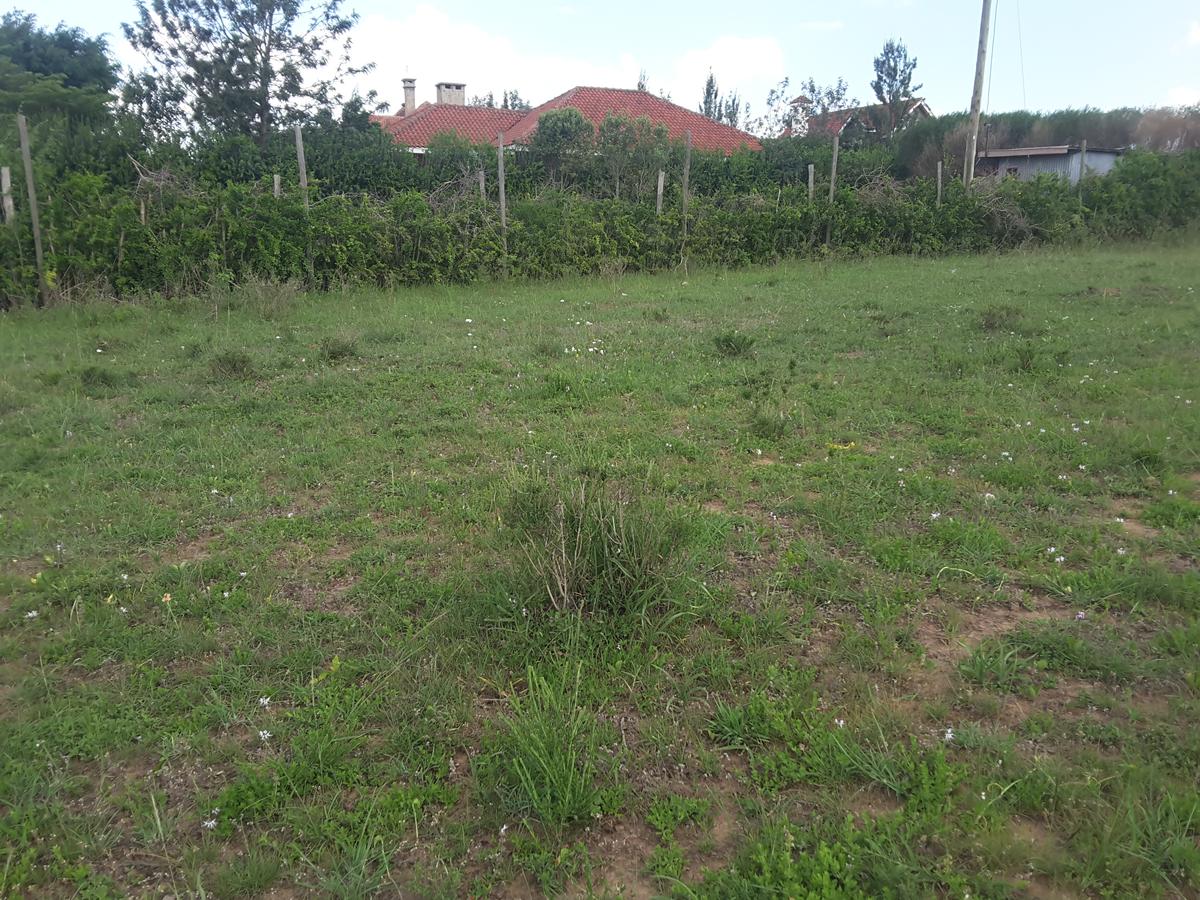 0.25 ac Land in Ongata Rongai - 1