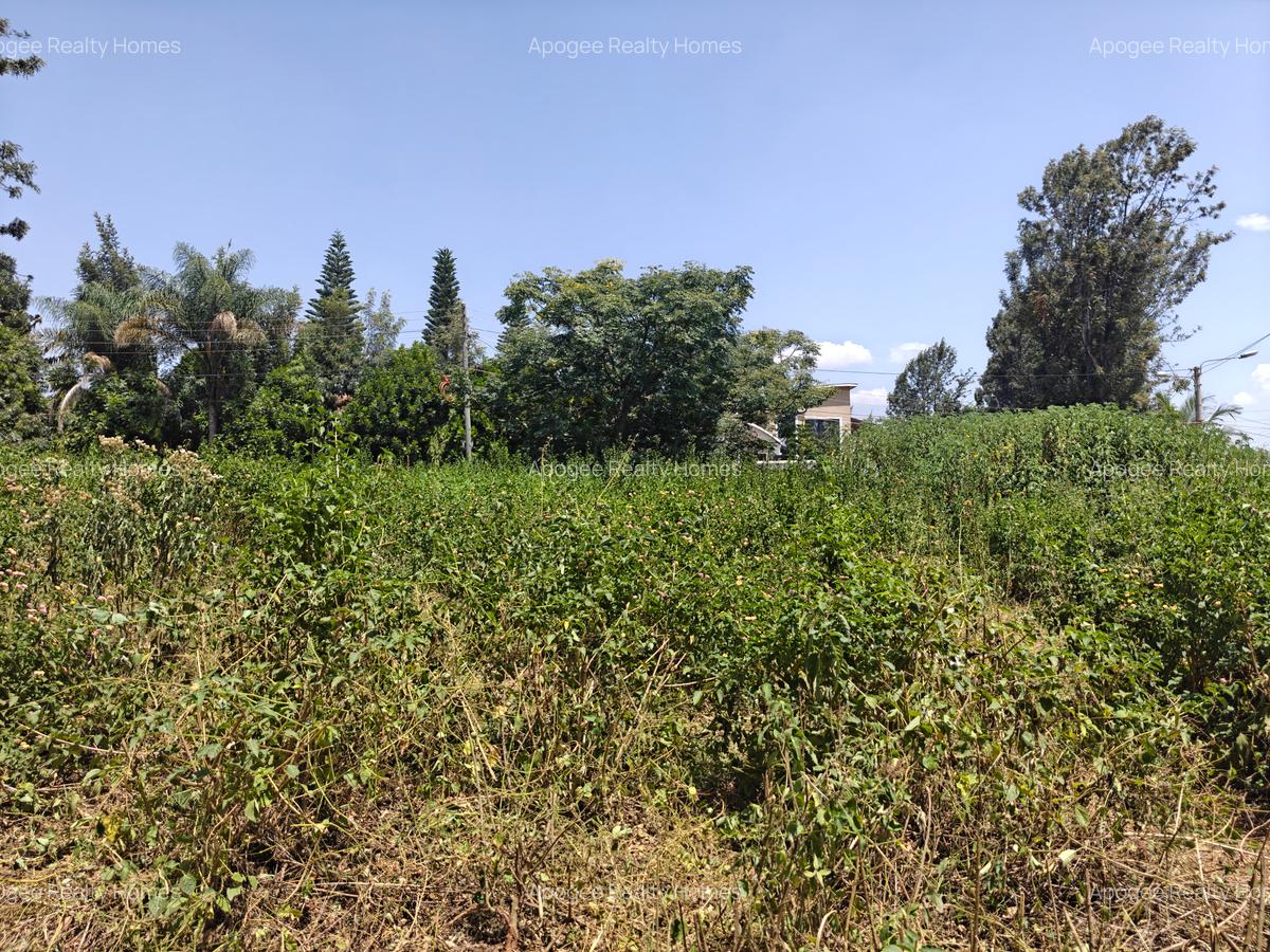0.5 ac Land at Estate Road - 4