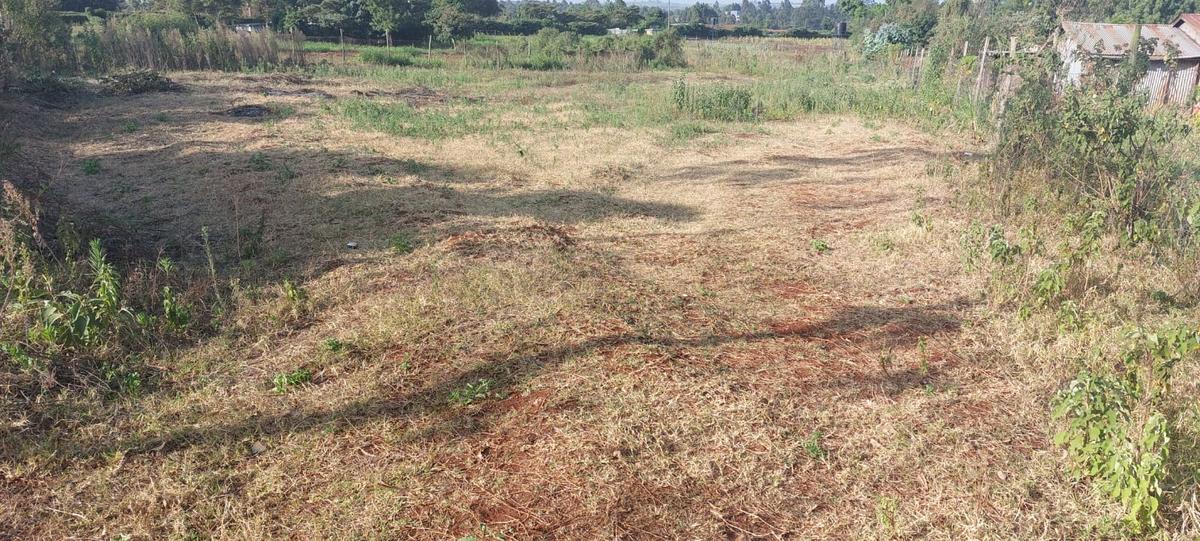 0.5 ac Residential Land at Near Gichuru High School - 7