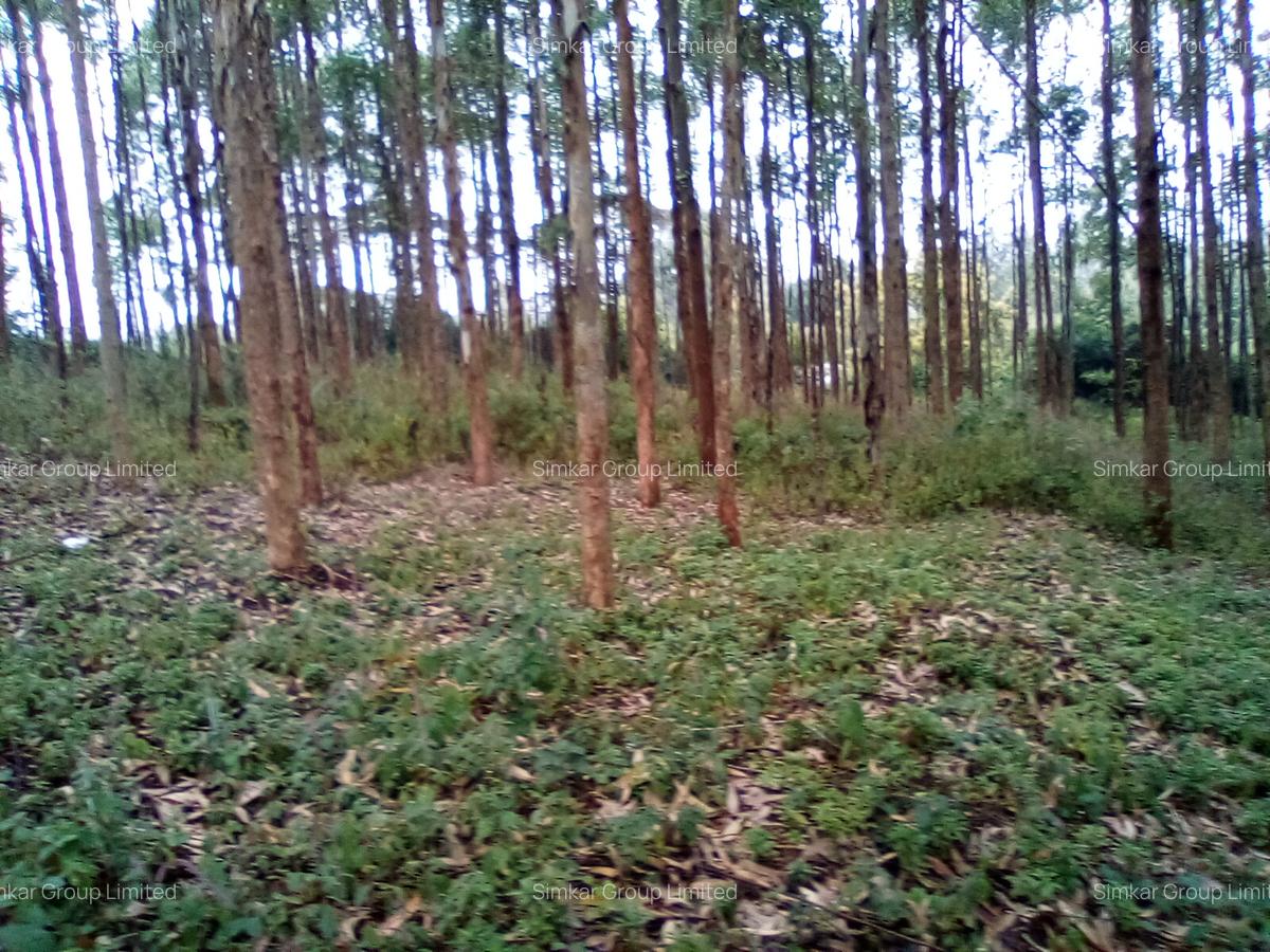 Land at Upper Matasia - 9