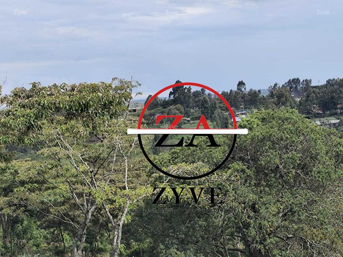 0.125 ac Residential Land at Ol Keri - 9