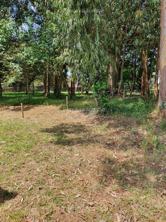 Residential Land at Karen The Hip Road - 3