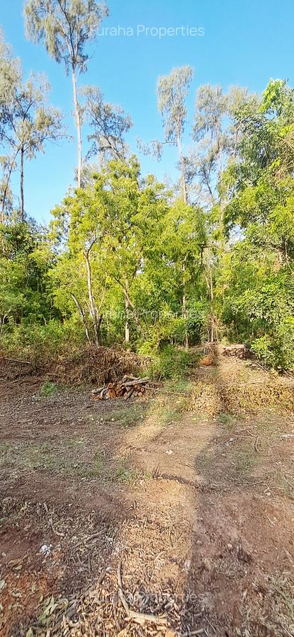 Land at Malindi Mombasa Road - 6