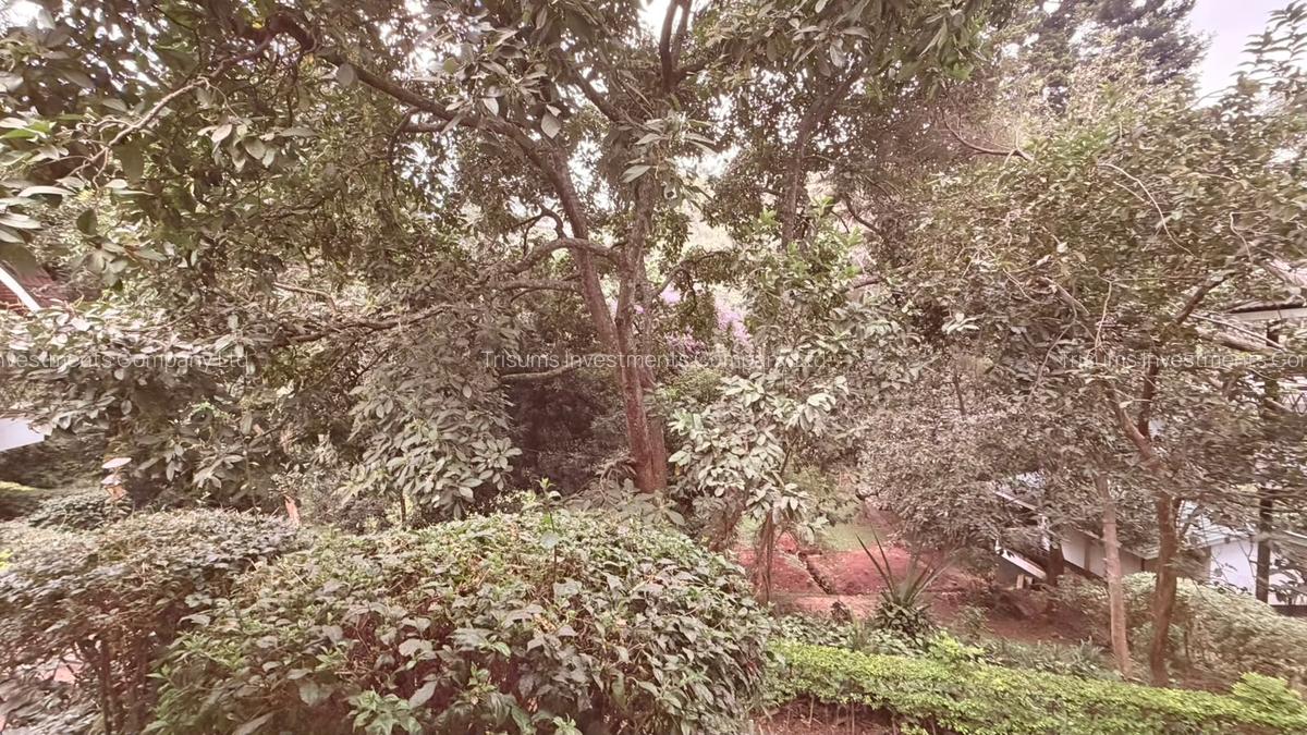 1 ac Land in Spring Valley - 6