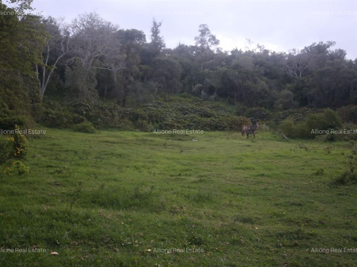 2,023 m² Land in Nanyuki - 3